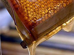 Lokale Produkte, Ikaria - Honig