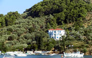Greece, Greek Islands, Skiathos, Punda, Emy Hotel