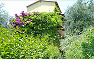Golden Nests Apartments, Agios Gordios, Kerkyra, Corfu, Ionian Islands, Greek Islands Hotels