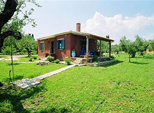  Logothetis Farm,Vassilikos,Zante ,Zakynthos,Ionian Islands