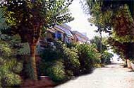 Chrisoula Eleni Apartments,Drepano,Nafplio,Argos,Peloponnese,Argolida,Beach,With Pool,Garden.