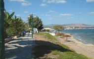 Nirefs Hotel,Attiki,Athens,Acropolis,Nea Makri,with pool,garden,beach