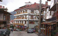 Egnatia Hotel,Metsovo,Ioannina,Snow,Ski Resort,Mountain,Winter Hotel