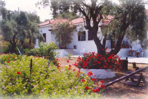 Trikeri Villas,Palio Trikeri,Pelion,Thessalia,Magnessia,Winter Resort,Greece
