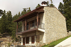  Traditional Guesthouse Ta Petrina,Elati,Trikala,Thessalia,Winter Resort,greece