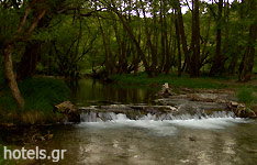 Ο ποταμός Λάδωνας