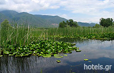Il lago Kerkini, Serres
